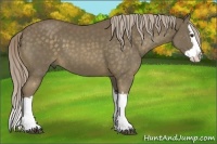 Horse Color:Chocolate Palomino Splash 