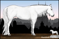 Horse Color:Gray Silver Buckskin Sabino