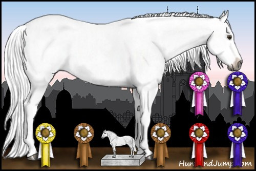 Horse Color:Gray Silver Bay Dun Sabino