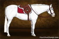 Horse Color:Silver Classic Champagne Dun Sabino Splash Frame Appaloosa 
