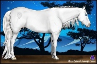 Horse Color:Silver Smoky Black Splash Appaloosa