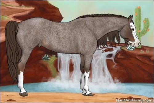 Horse Color:Liver Red Roan Splash 