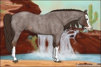 Horse Color:Liver Red Roan Splash