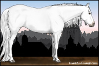 Horse Color:Gray White Spotted Chestnut Ice Tobiano 