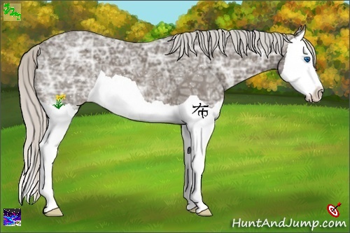 Horse Color:Silver Smoky Black Ice Splash