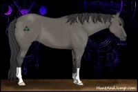 Horse Color:Grullo 