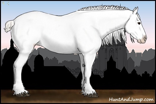 Horse Color:Silver Brown Roan Blanket