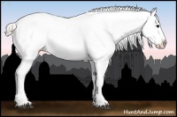 Horse Color:Silver Brown Roan Blanket 