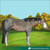 Horse Color:White Spotted Brown Ice 