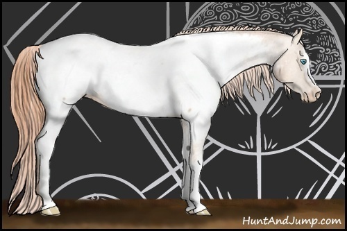 Horse Color:White Spotted Buckskin Pearl Near Fewspot 