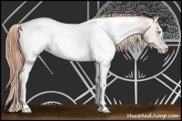 Horse Color:White Spotted Buckskin Pearl Near Fewspot
