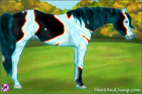 Horse Color:Gray Thunderstruck White Spotted Silver Black Splash 