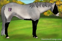 Horse Color:Blue Onyx Splash Varnish 