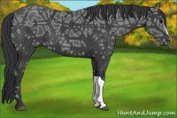 Horse Color:Black Ice 
