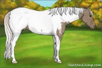 Horse Color:Silver Grullo Tobiano Snowcap