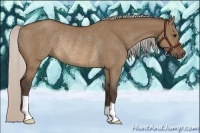 Horse Color:Silver Brown Dun Rabicano 