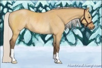 Horse Color:Silver Bay Dun Rabicano 