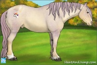 Horse Color:Watercolor Liver Red Roan Pearl Sabino Appaloosa Rabicano 