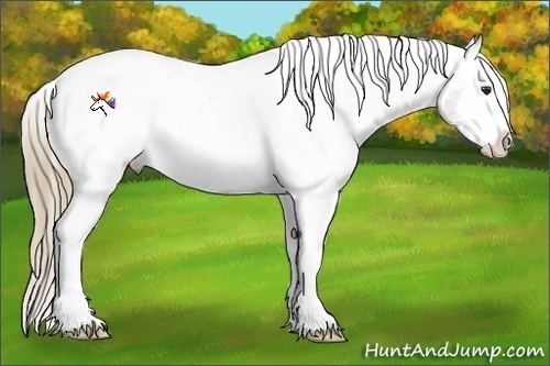 Horse Color:White Spotted Liver Chestnut Sabino Snowcap