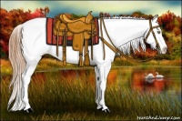 Horse Color:Bay Pearl Dun Appaloosa 