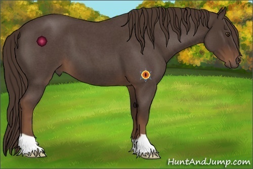 Horse Color:Liver Red Roan 
