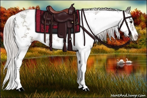 Horse Color:Silver Black Sabino 