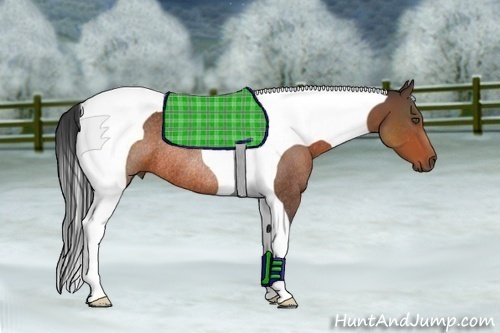 Horse Color:Bay Tobiano Rabicano 