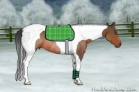 Horse Color:Bay Tobiano Rabicano
