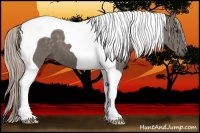 Horse Color:Silver Black Tobiano 