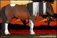 Horse Color:Bay Tobiano 