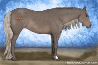 Horse Color:Silver Black 