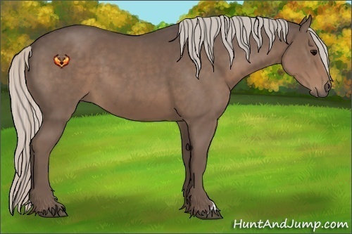 Horse Color:Silver Black