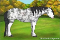 Horse Color:Black Ice Splash 