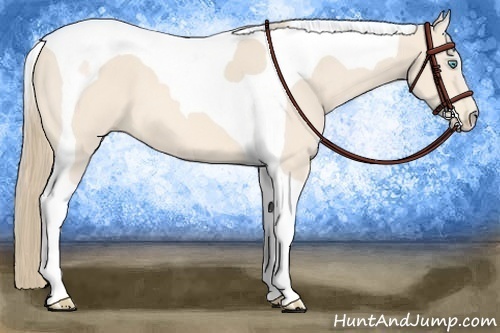 Horse Color:Perlino Tobiano 