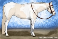 Horse Color:Perlino Tobiano