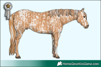 Horse Color:Silver Black Ice Sabino  Brindle