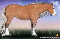 Horse Color:Silver Bay Splash 