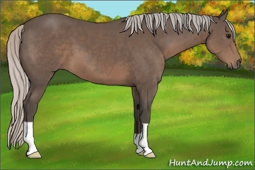 Horse Color:Silver Black 