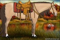 Horse Color:Amber Champagne