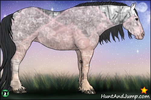 Horse Color:Black Ice 