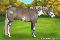 Horse Color:Silver Black Sabino 