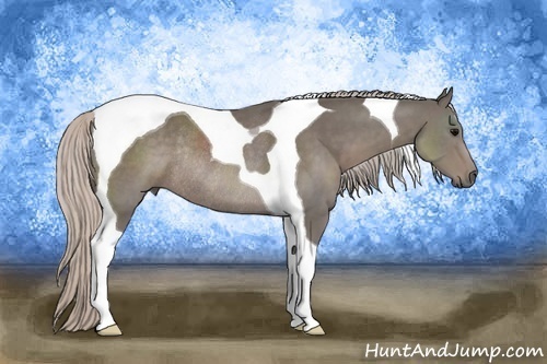 Horse Color:Silver Black Tobiano Rabicano 