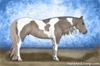 Horse Color:Silver Black Tobiano Rabicano 