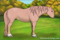 Horse Color:Watercolor Chestnut 