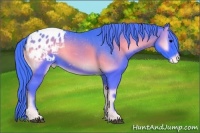 Horse Color:Watercolor Blue Onyx Appaloosa