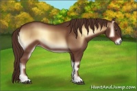 Horse Color:Red Onyx 