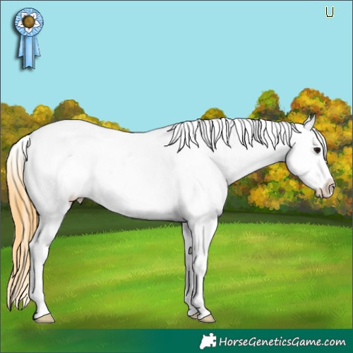 Horse Color:White Spotted Smoky Grullo Blanket 