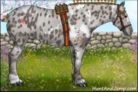 Horse Color:White Spotted Silver Black Appaloosa Rabicano 