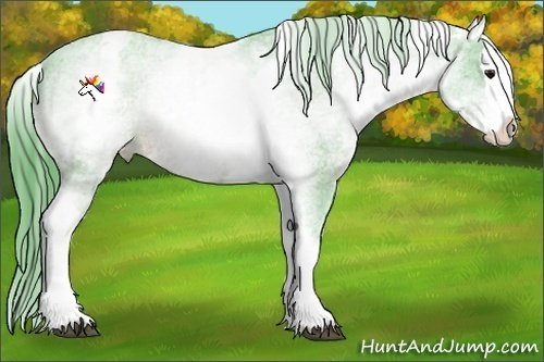 Horse Color:Watercolor White Spotted Buckskin Sabino Splash Appaloosa 