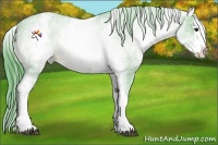 Horse Color:Watercolor White Spotted Buckskin Sabino Splash Appaloosa 